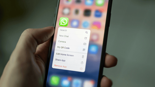 В WhatsApp появятся имена пользователей — можно будет забронировать свой ник заранее