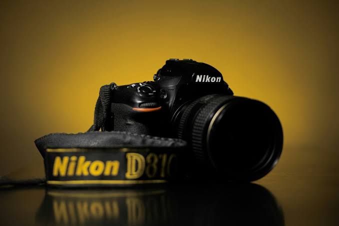 📸 Старичок Nikon D810 взял главный приз на Wildlife Photographer of the Year 2025