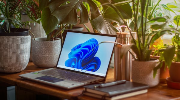 Эксперимент показал: Windows 11 работает медленнее Windows XP