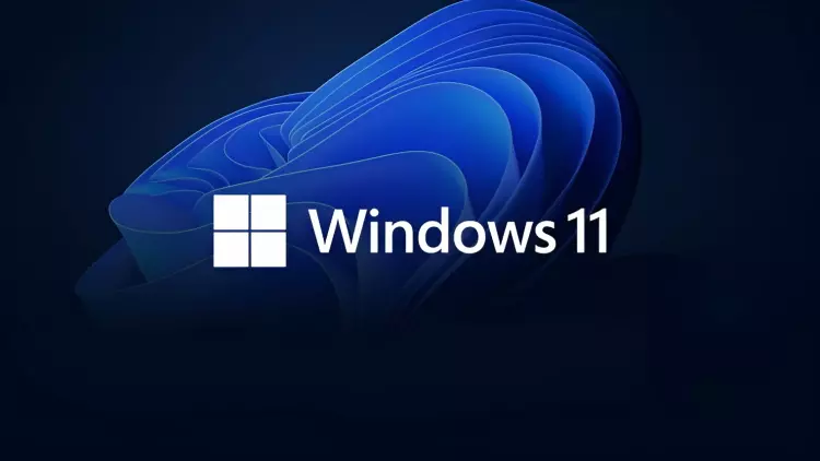 Windows 11 теряет пользователей: доля ОС снова снизилась